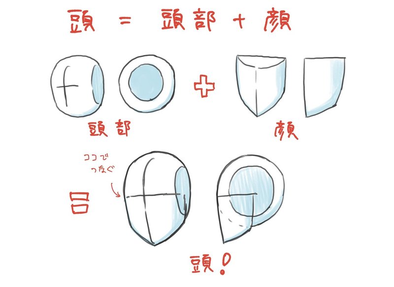 人体の作画 頭の形 Jo Note