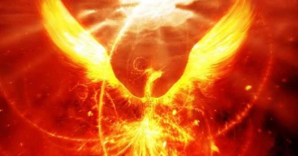 不死鳥 ダビデの詩 Note