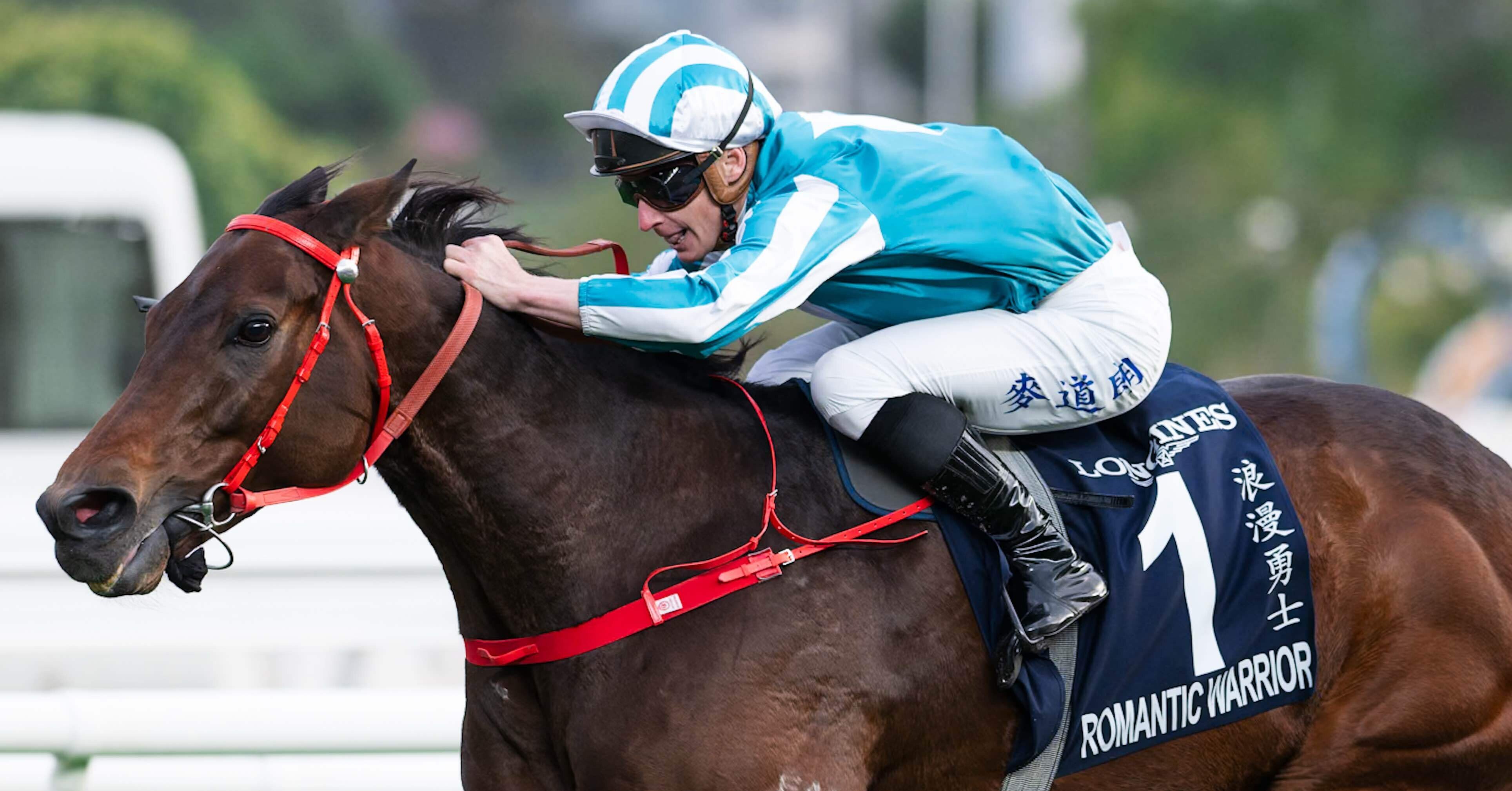 日帰りで香港国際競走に行けるわけないじゃん、ムリムリ！(※ムリじゃ