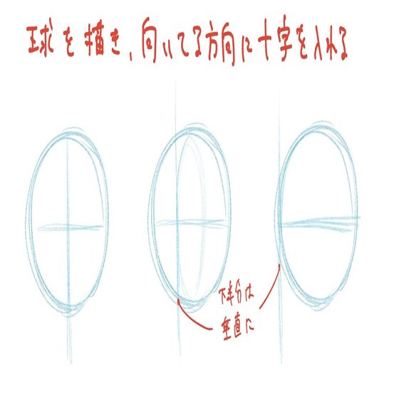 人体の作画 頭の形 Jo Note