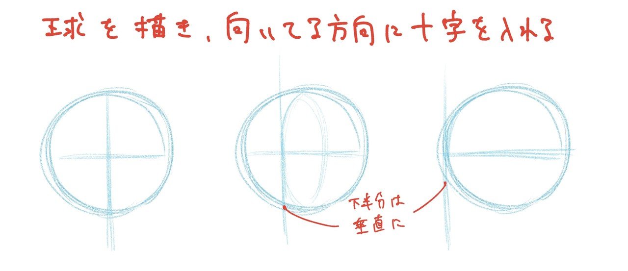 人体の作画 頭の形 Jo Note 人体の作画 頭の形 Jo Note