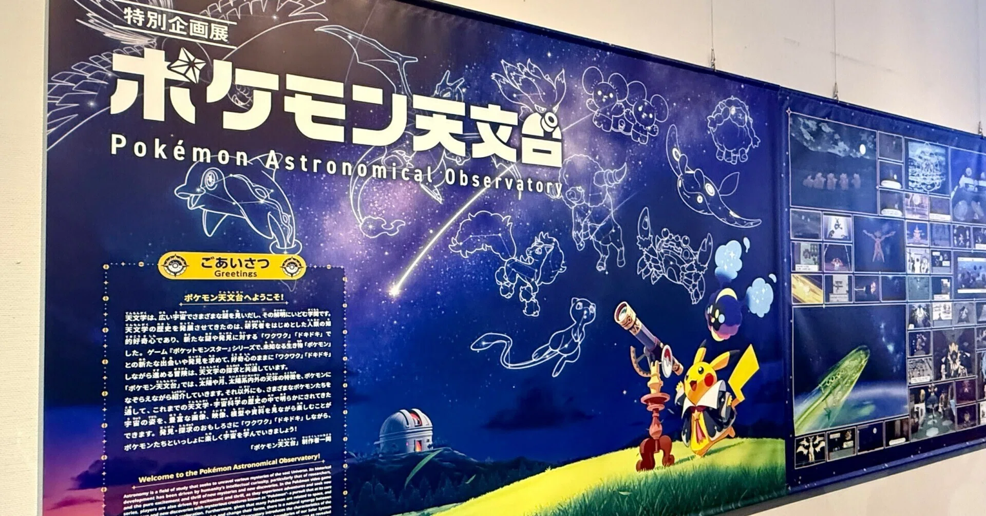 ポケモン天文台　入場イベント特典　特任研究員　PSA10 POP4枚　美品 ポケモン天文台 入場イベント特典 特任研究員 PSA10 POP9枚 ゾロ目