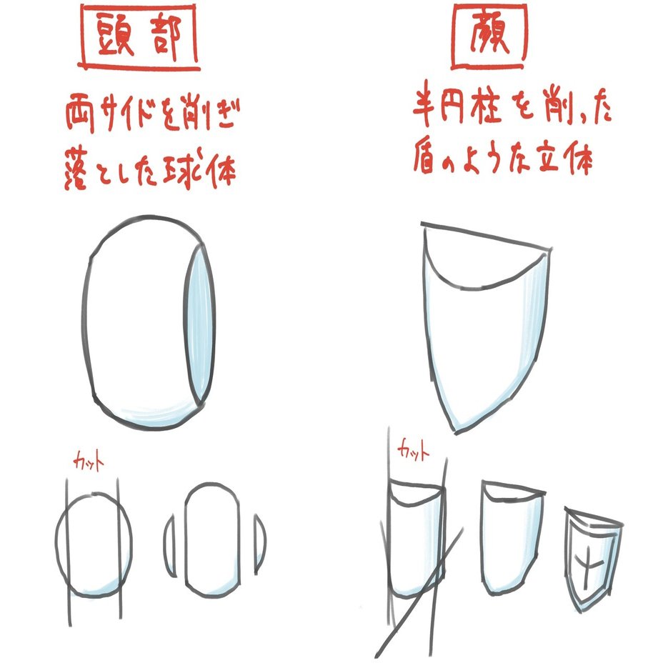 鷹の頭の輪郭