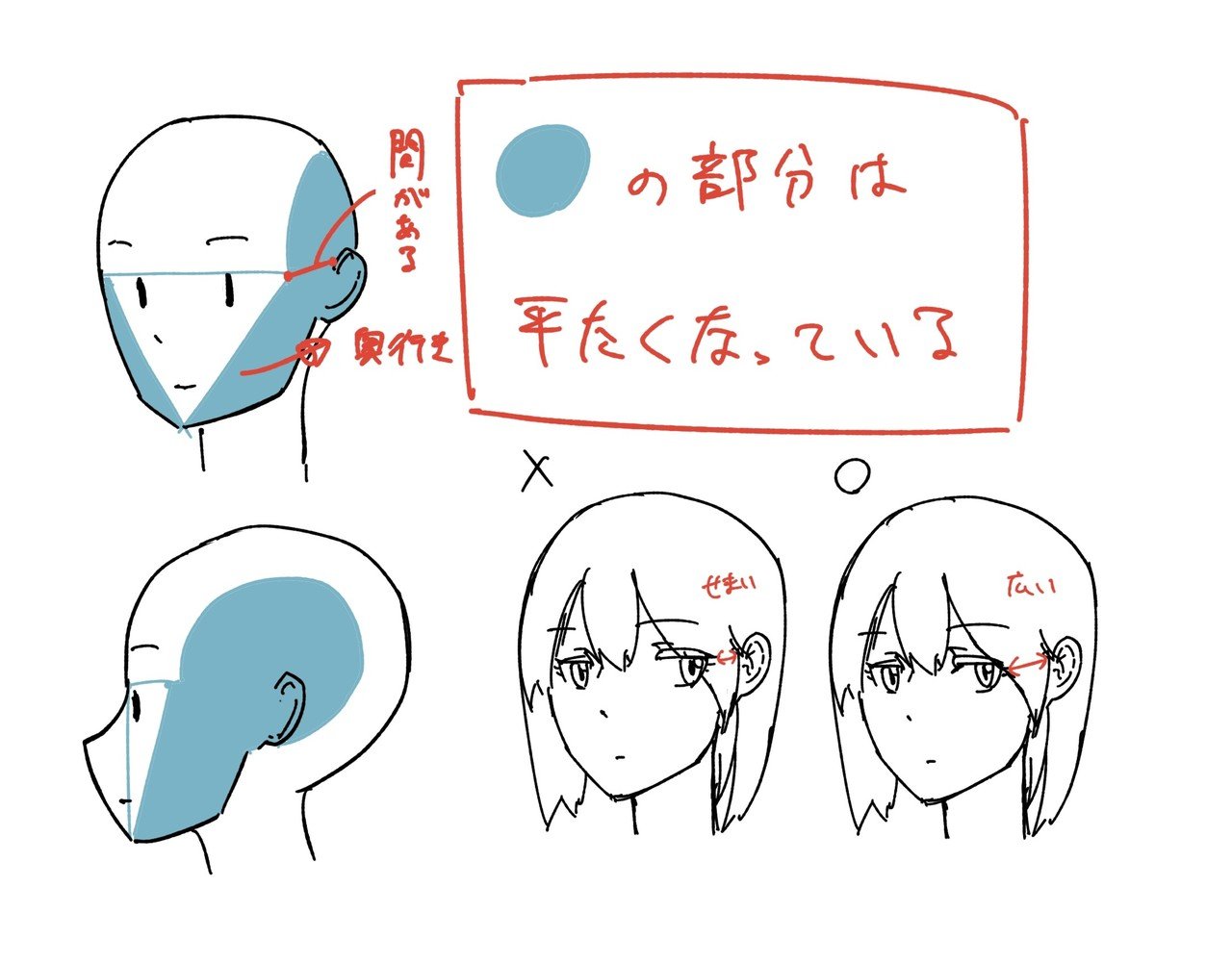 人体の作画 頭の形 Jo Note 人体の作画 頭の形 Jo Note