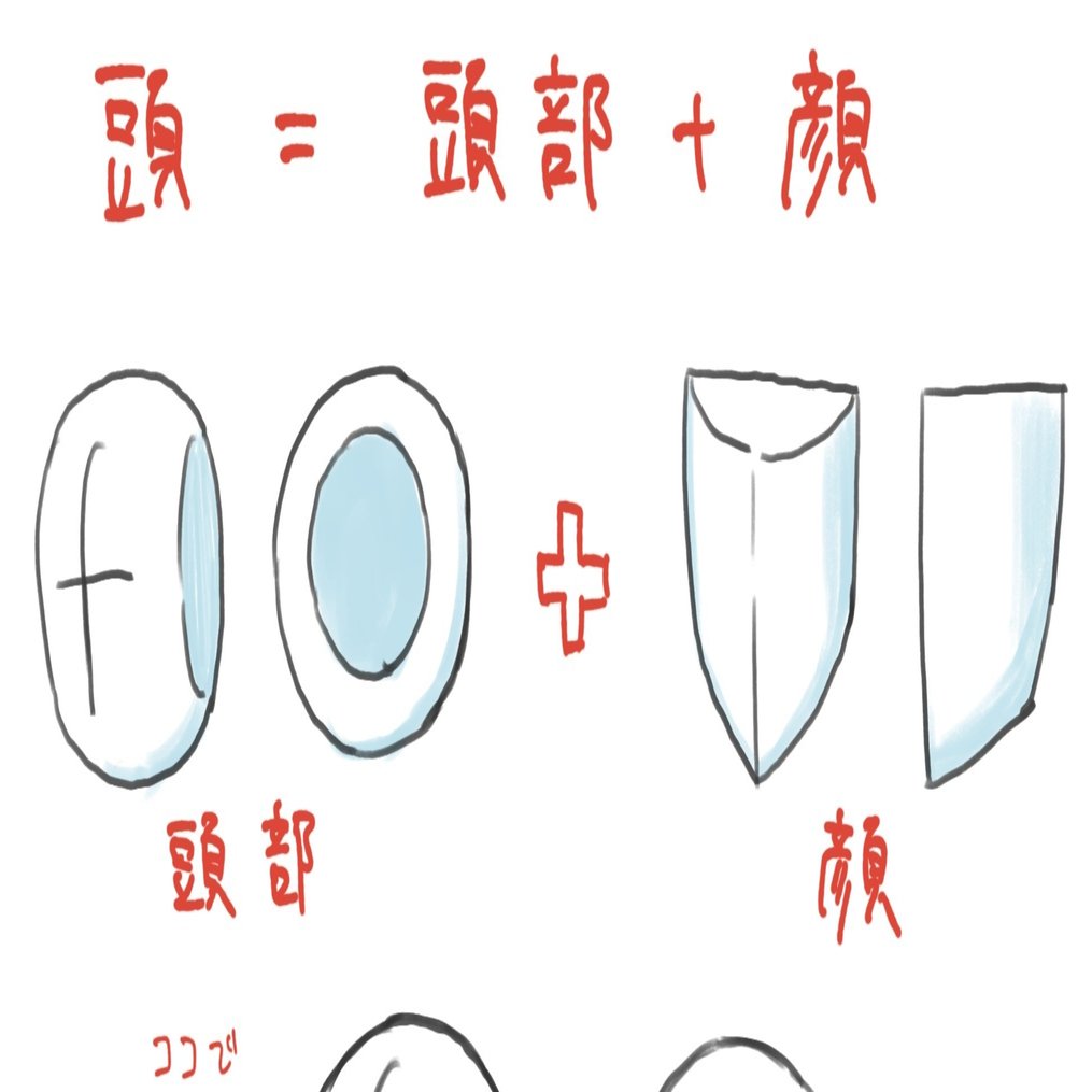 鷹の頭の輪郭