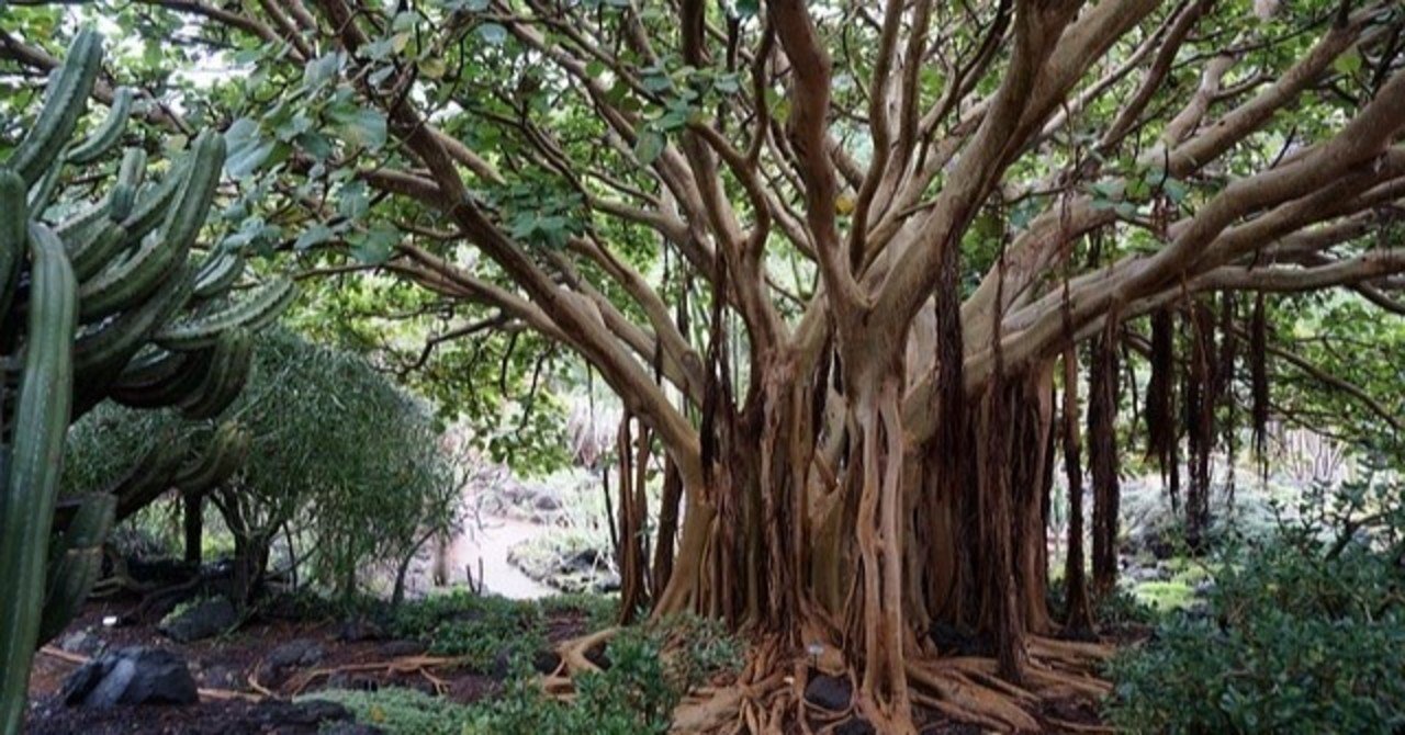 世界三大植物園 世界旅行 Note