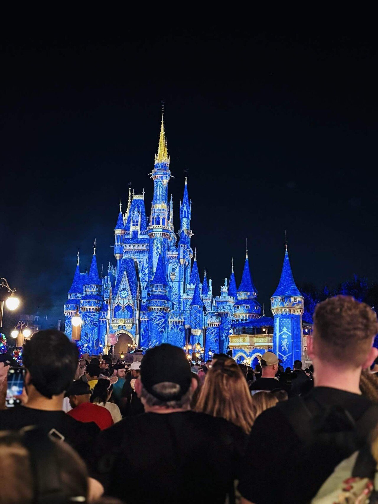 WDWレポ③｜思ってたのと違った！並ばない・疲れない・迷わない世界