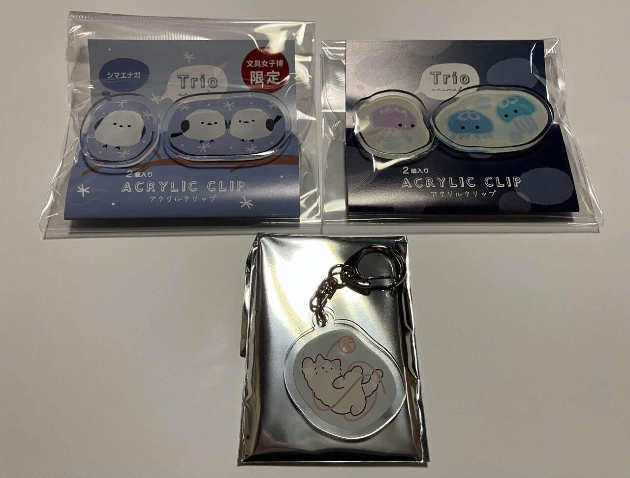 人生初の文具女子博でホクホクになった。【購入品紹介】｜もち Mochi