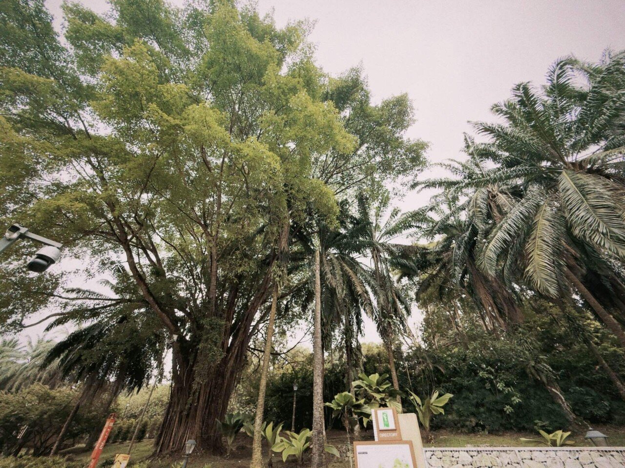 クアラルンプール2025】 #02 国立モスクとイスラム美術館｜さざなみあやめ