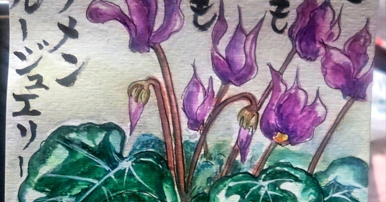 シクラメンを描く〜*｜marikon*