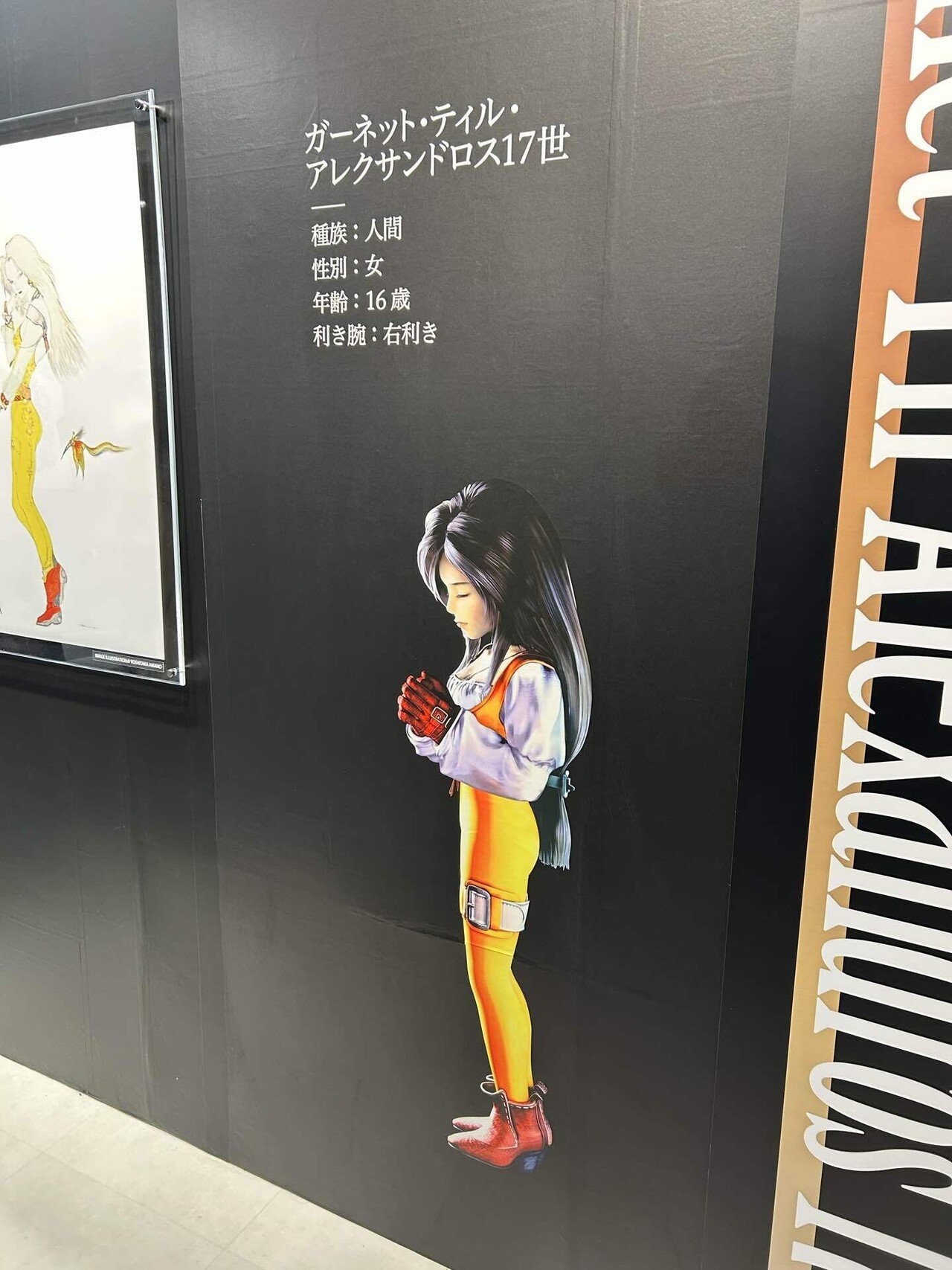 FINAL FANTASY IX 25th ANNIVERSARY THE EXHIBITIONいつか帰るところを