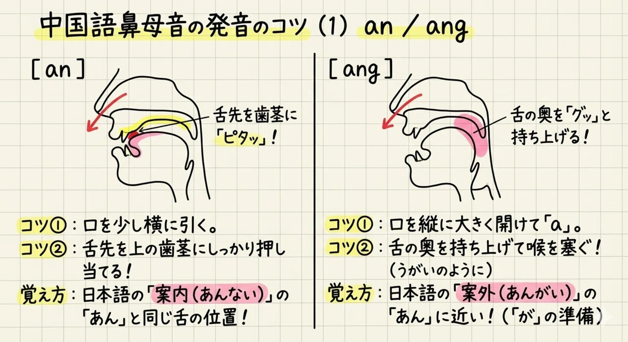 📝【完全保存版】「-n」と「-ng」の違い、一瞬で見分ける裏ワザ！｜在