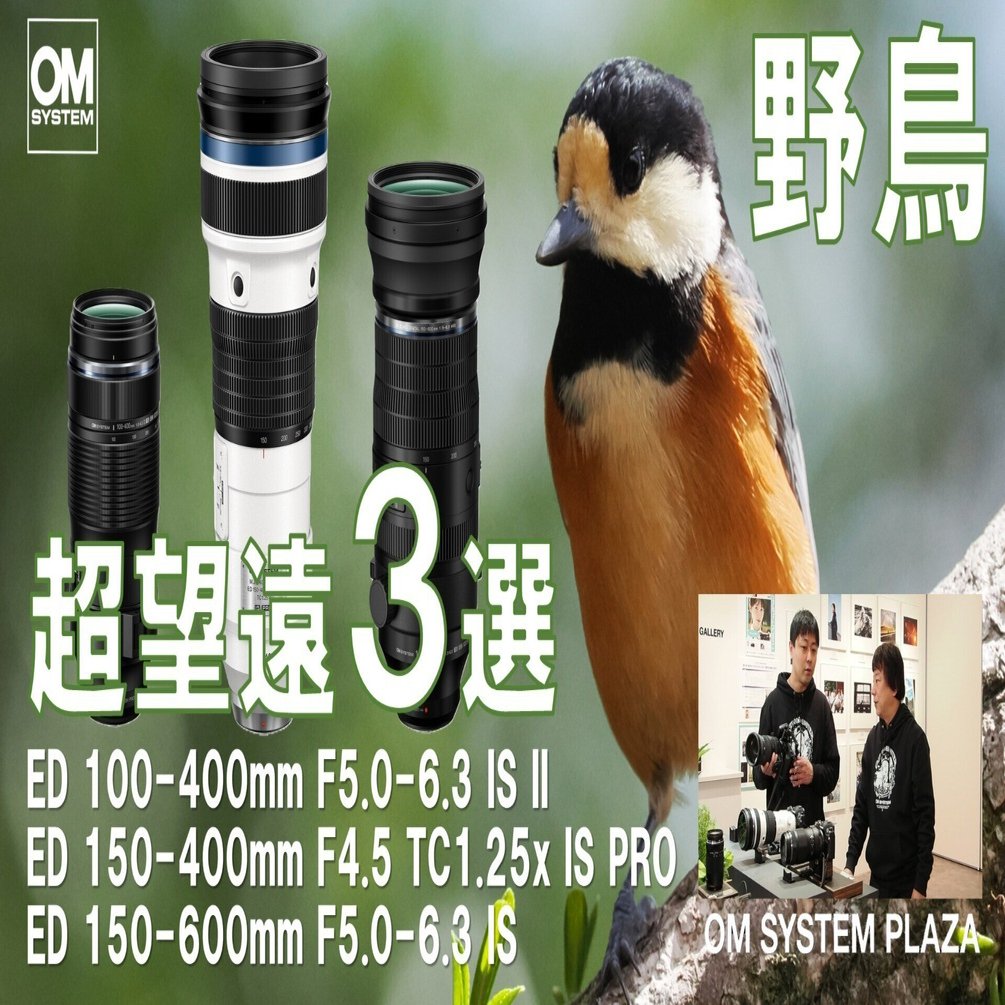 動画】《野鳥撮影》焦点距離は何mmまであるといいですか？《OM SYSTEM
