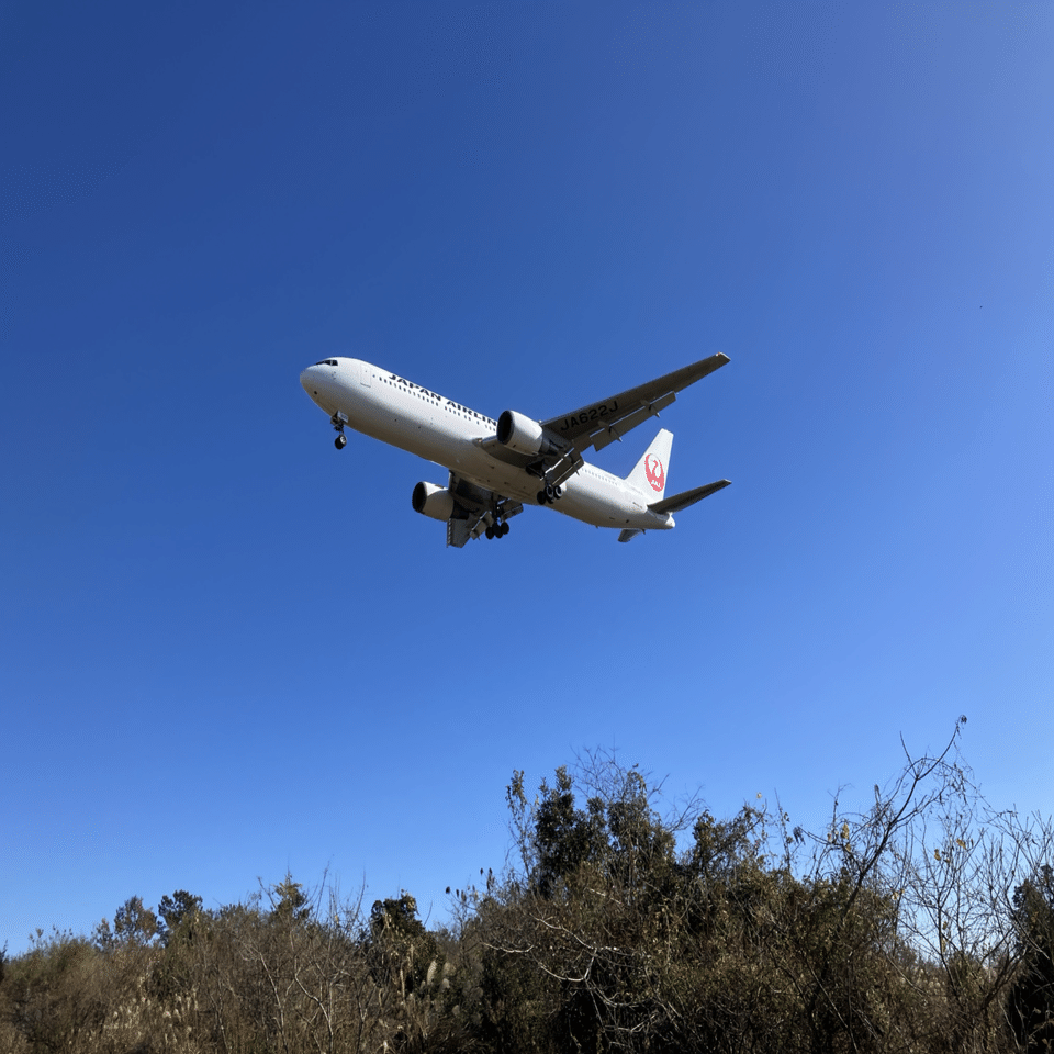 JL645便｜タニグチ