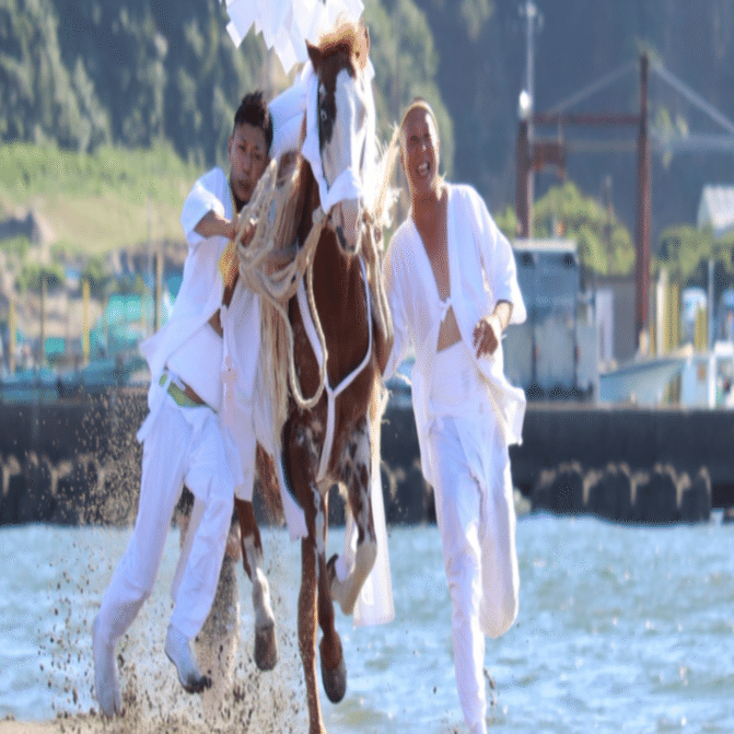 JW890 布流津｜kikuzirou