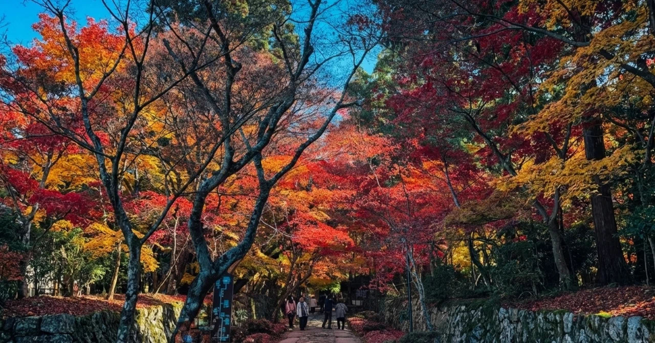 I Visited Kongo-rinji Temple for Its Fiery Autumn Leaves (Shiga)｜Sakak