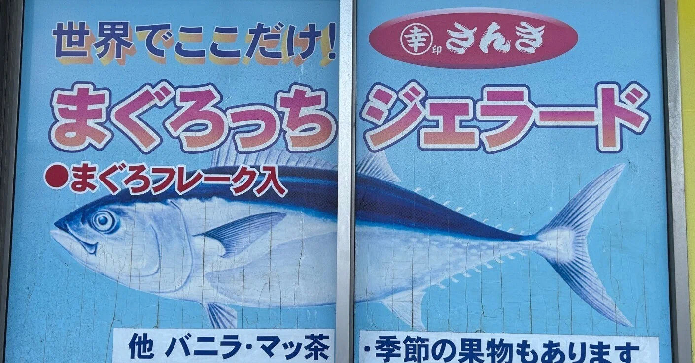 2025年12月 三浦半島(神奈川県)｜fjt