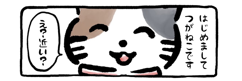 つがねこマンガ🐾|とみざわきらら|note つがねこマンガ🐾|とみざわきらら|note