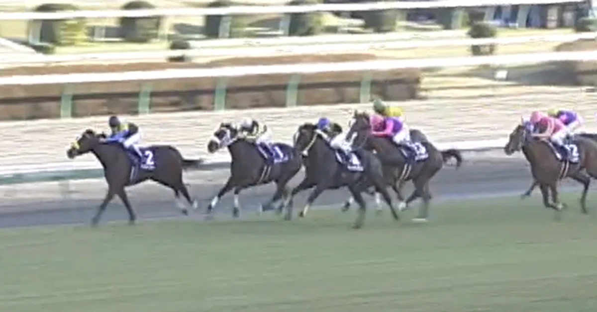 復刻版】2001年有馬記念～テイエムオペラオーが飛べば