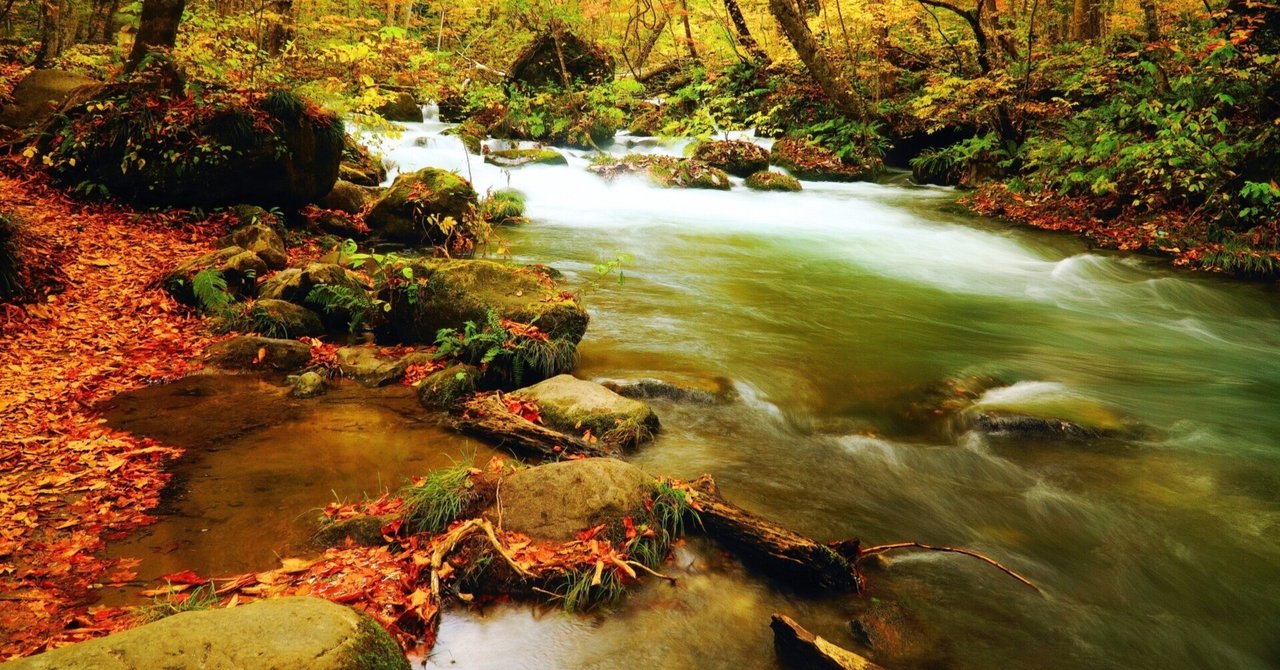 0602 神が宿る水の道・幻想的世界「奥入瀬渓流」（青森県）｜弥栄