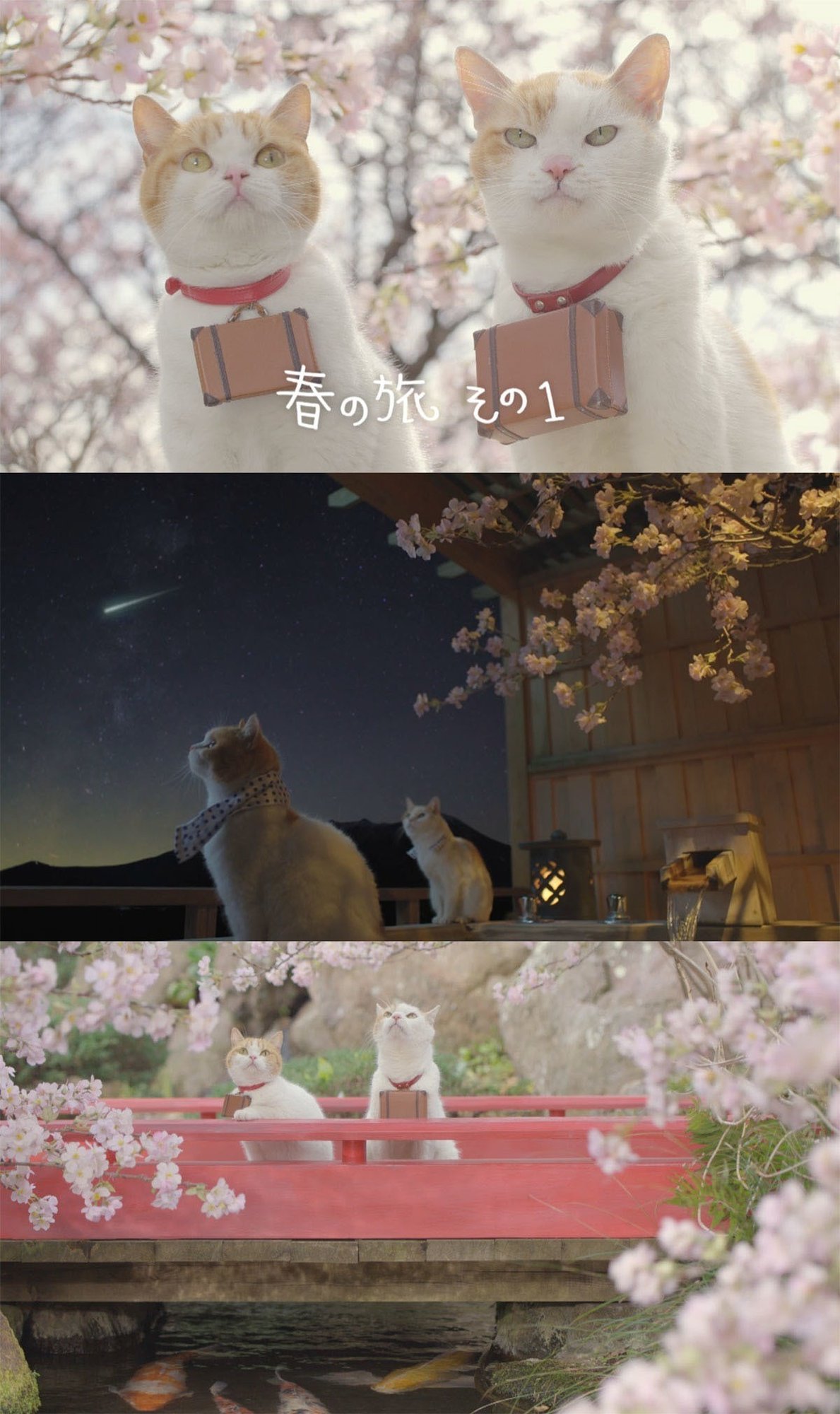 平林勇の仕事歴 平林勇 Note 平林勇の仕事歴 平林勇 Note