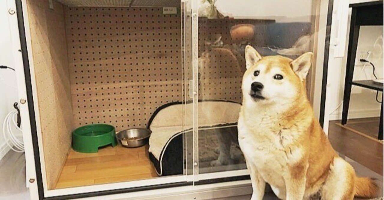 miyuki shirogane様専用 防音 犬小屋 防音ケージ防音ケージの作り｜犬小屋