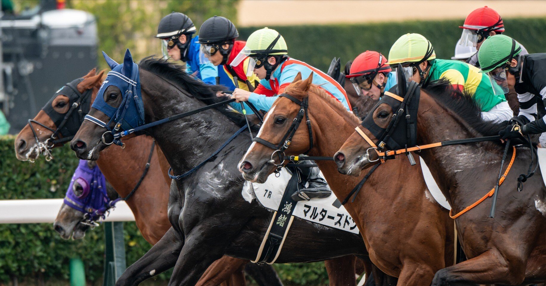 17 満を持して競馬撮影にNIKKOR Z 180-600mm f/5.6-6.3 VRを使う｜好き