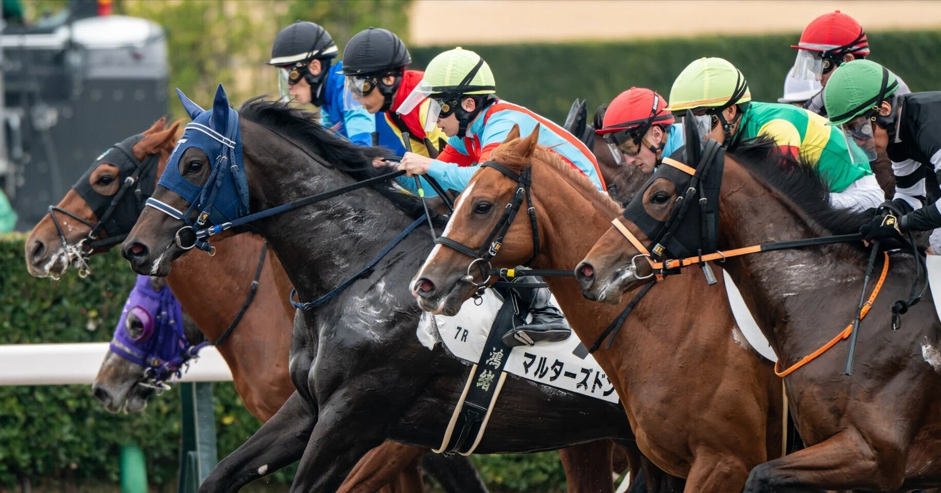 17 満を持して競馬撮影にNIKKOR Z 180-600mm f/5.6-6.3 VRを使う｜好き