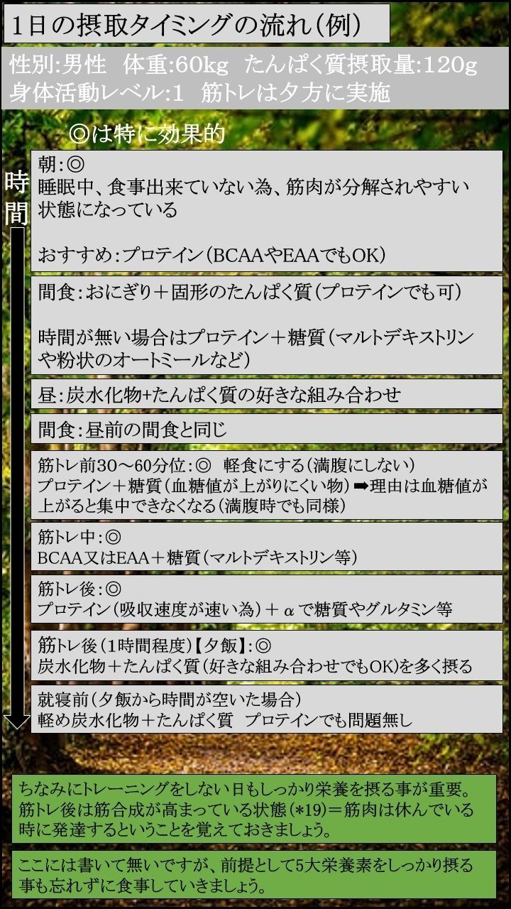 図解 筋トレ基礎知識 栄養学 筋肥大の為のたんぱく質 フリート Note