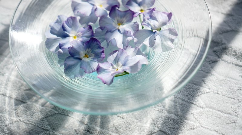 枝豆のどれが本葉5枚目なのか問題 を解決した ゆかこ Note