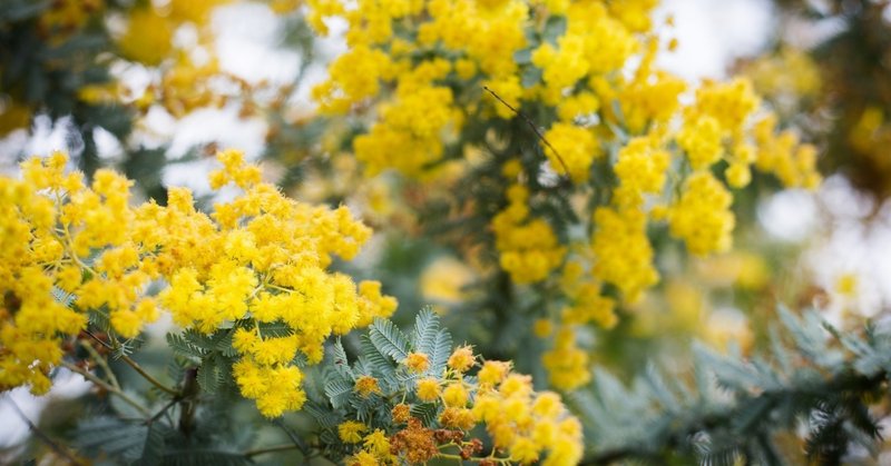 メルカリでトラブルに初遭遇 真中 Note