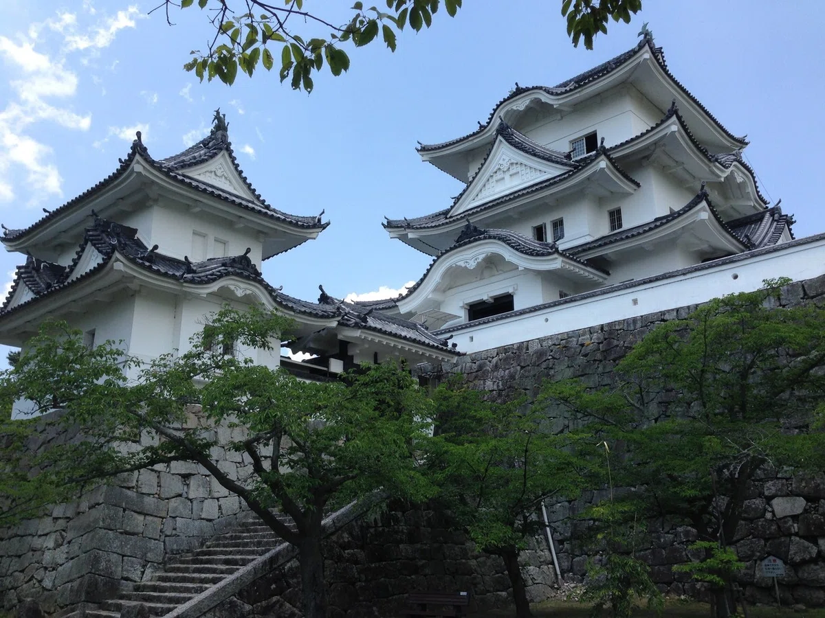画像1
