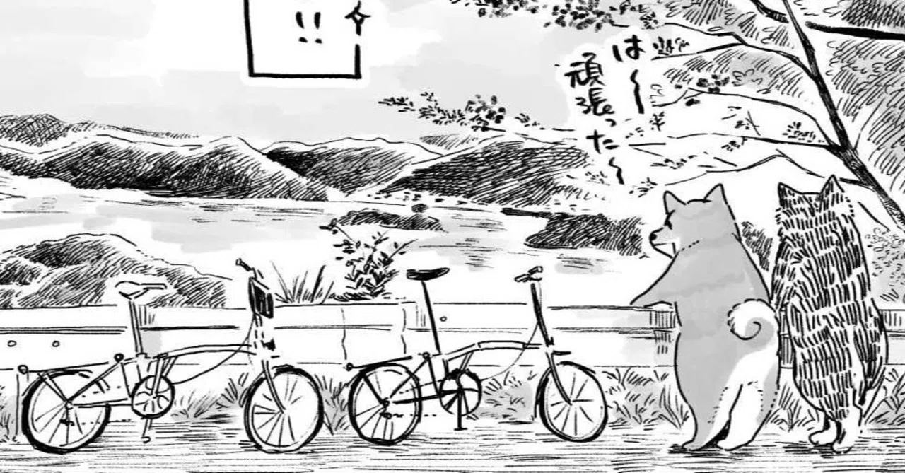 シクロの家 Sur Twitter しまなみキャンプライド詳細決定 申込開始 キャンプが好き 自転車も好き キャンプ ツーリングをやってみたかった アウトドアと自転車を満喫するガイドツアーがこの夏始動 キャンプしながらしまなみ海道を縦断 キャンプ道具は輸
