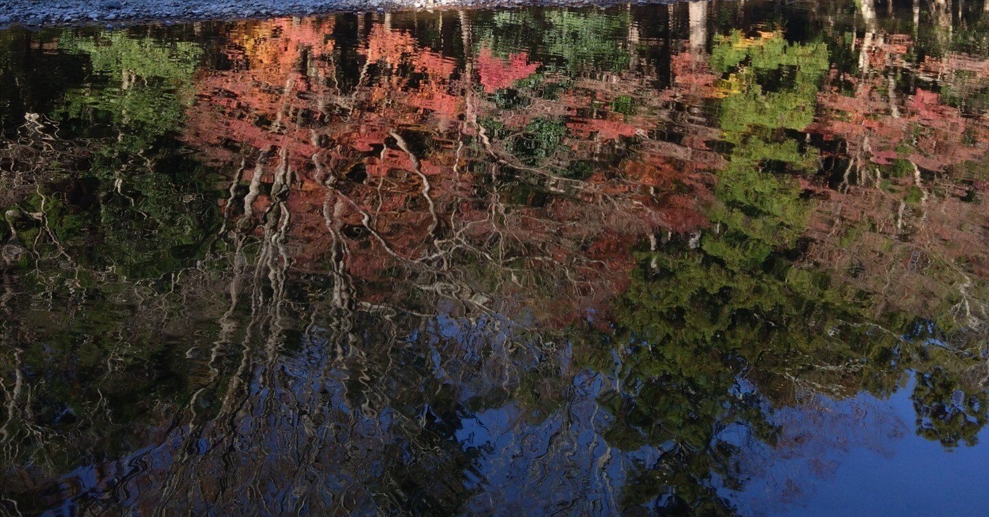 新潟・越後湯沢の古民家宿「ryugon」で味わう雪国の美と温もり体験, image size:1440x753