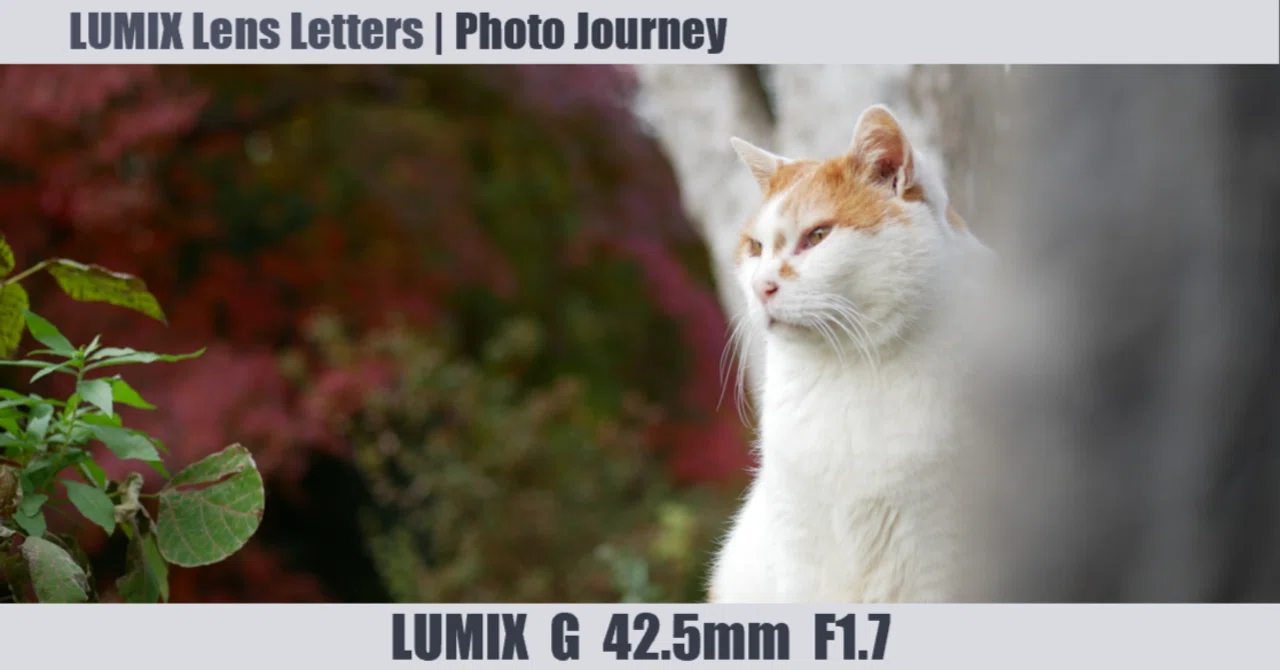 LUMIX G 42.5mm / F1.7 ASPH. / POWER O.I.S. 【Photo Journey #18