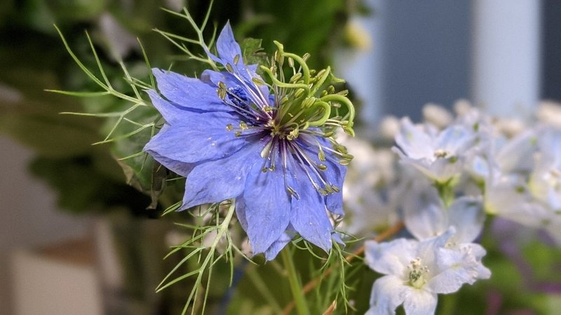 花を手向ける ミツビシ Note 花を手向ける ミツビシ Note