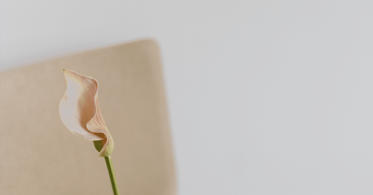 早期退職後にiDeCoを選んだら、付加年金も考えたい｜ひとりは