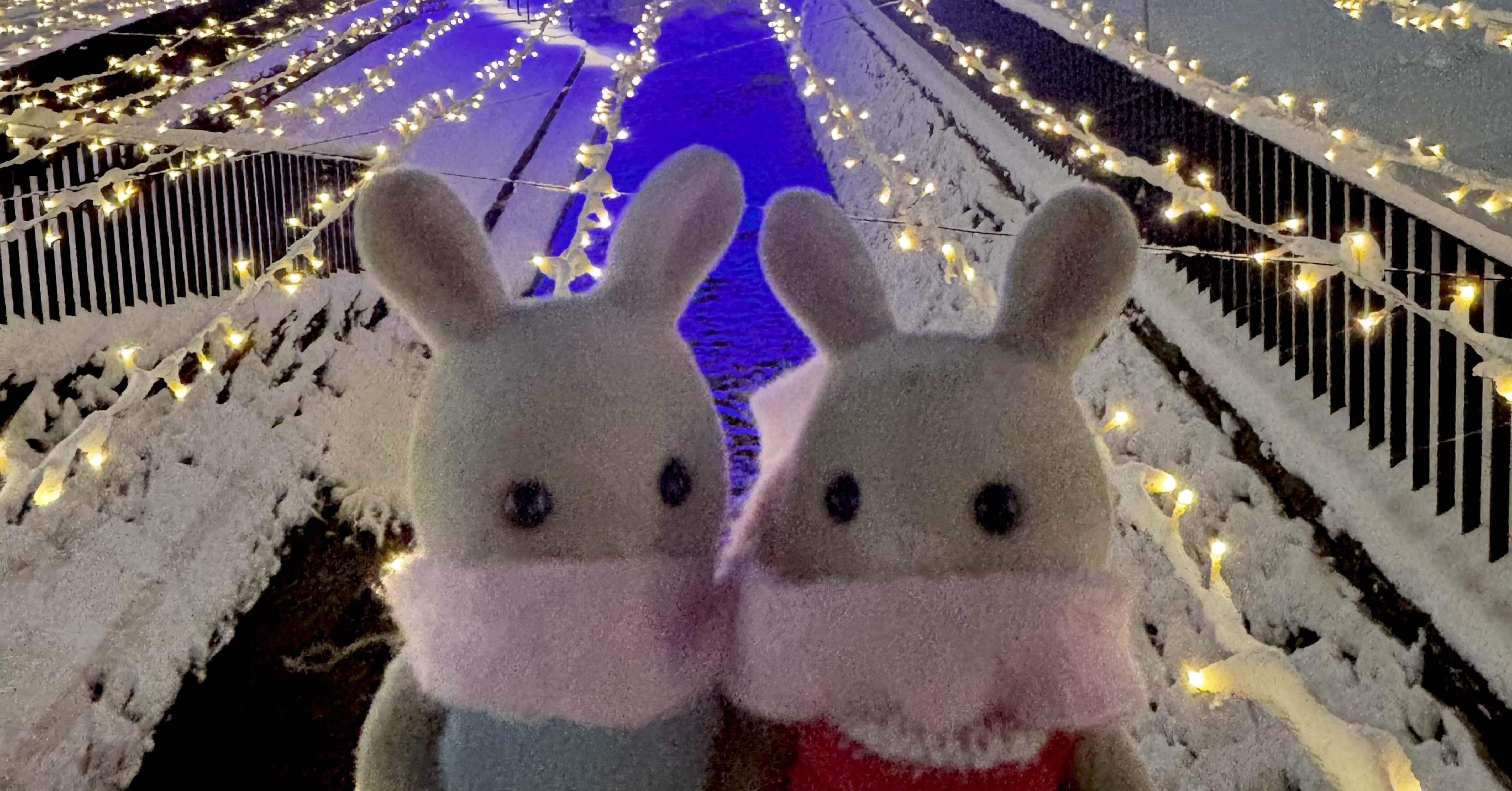 はじめまして。シルバニアが好きな大人です。｜ねぎ