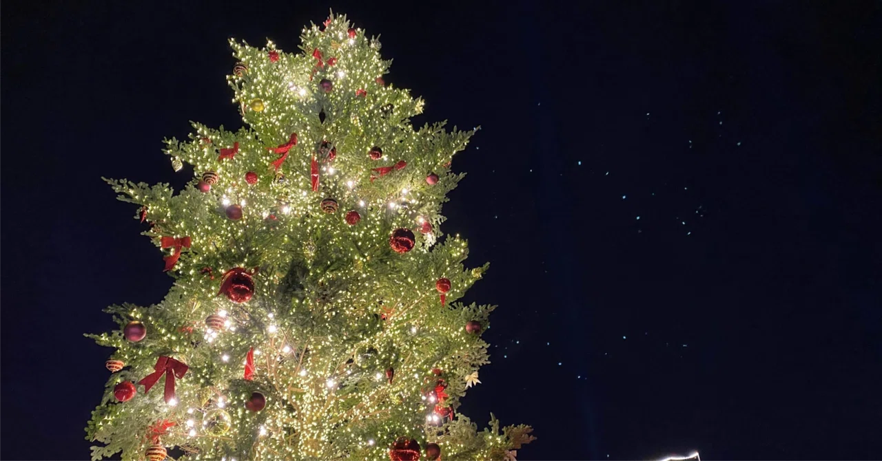 Sense of the Season｜ryota