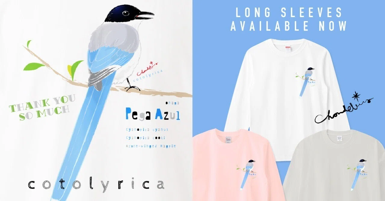 The Azure-winged Magpie is long-tailed and sax blue 0506: How about a ...