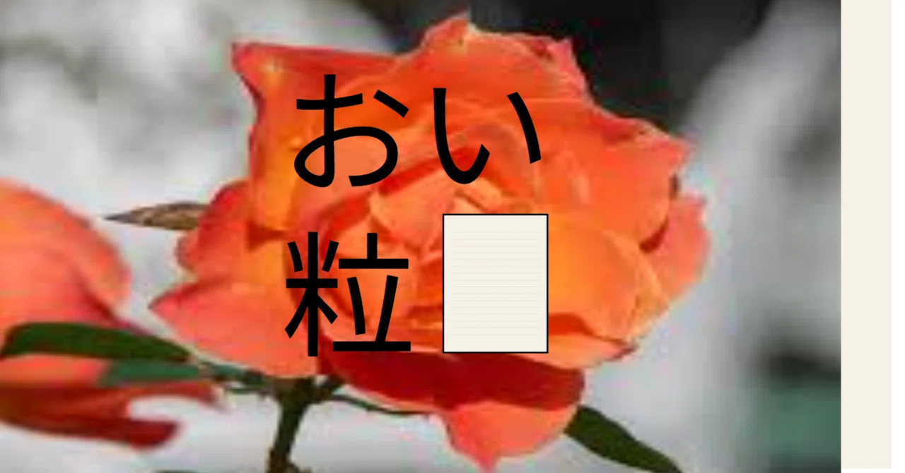 見出し画像