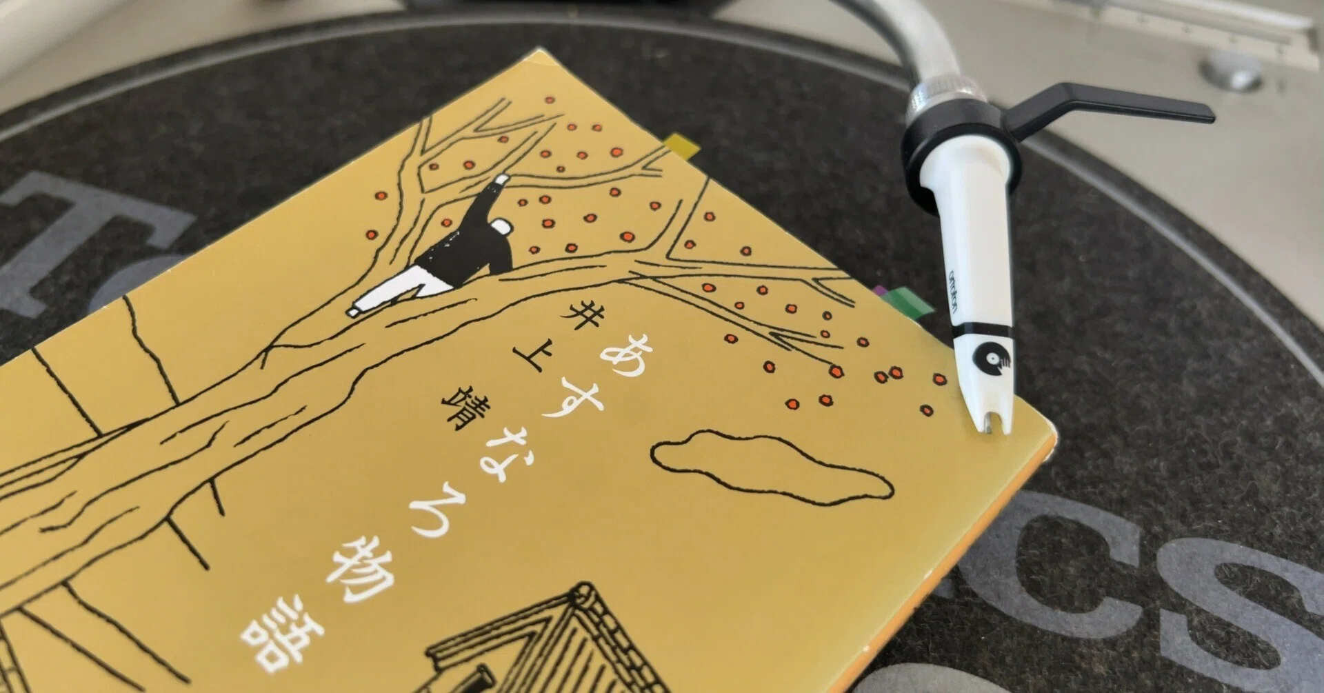 あすなろ物語』から学んだ「モチベーション」｜日々、本から学ぶ【第1