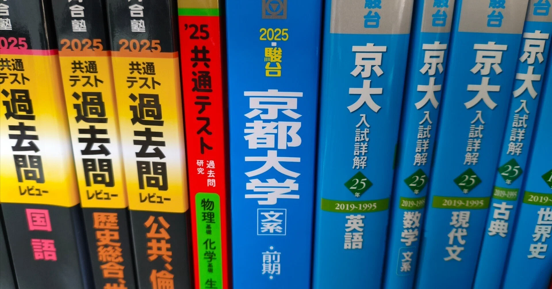 駿台 京大 入試詳解 現代文 25年 2019~1995