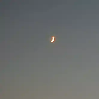 知恵熱