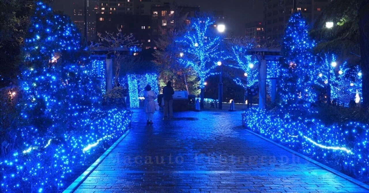 ブルーイルミネーション クリスマス ヘアゴム イルミスポット巡り ～ アメリカ山公園｜Macauto