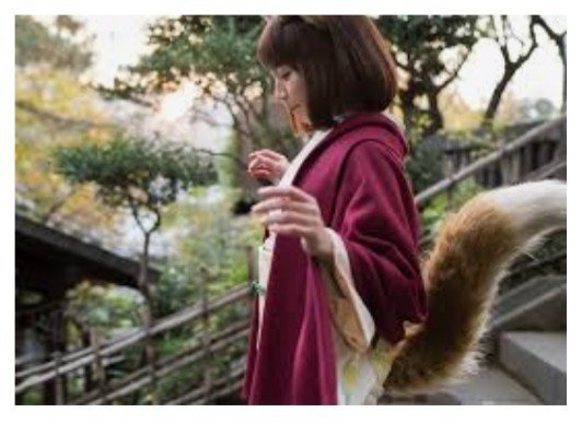 ごんぎつね 写真１枚目はどんぎつねさん 写真2枚目はどんフォックスさん 蘭 Ran ニックネーム変更しました Note