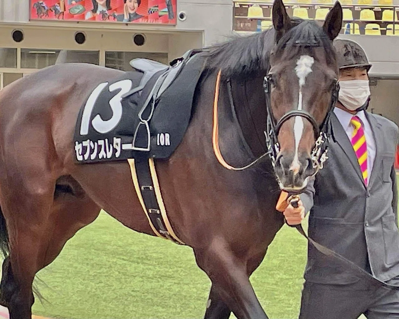 最愛の競走馬へ贈る手紙｜ときわ