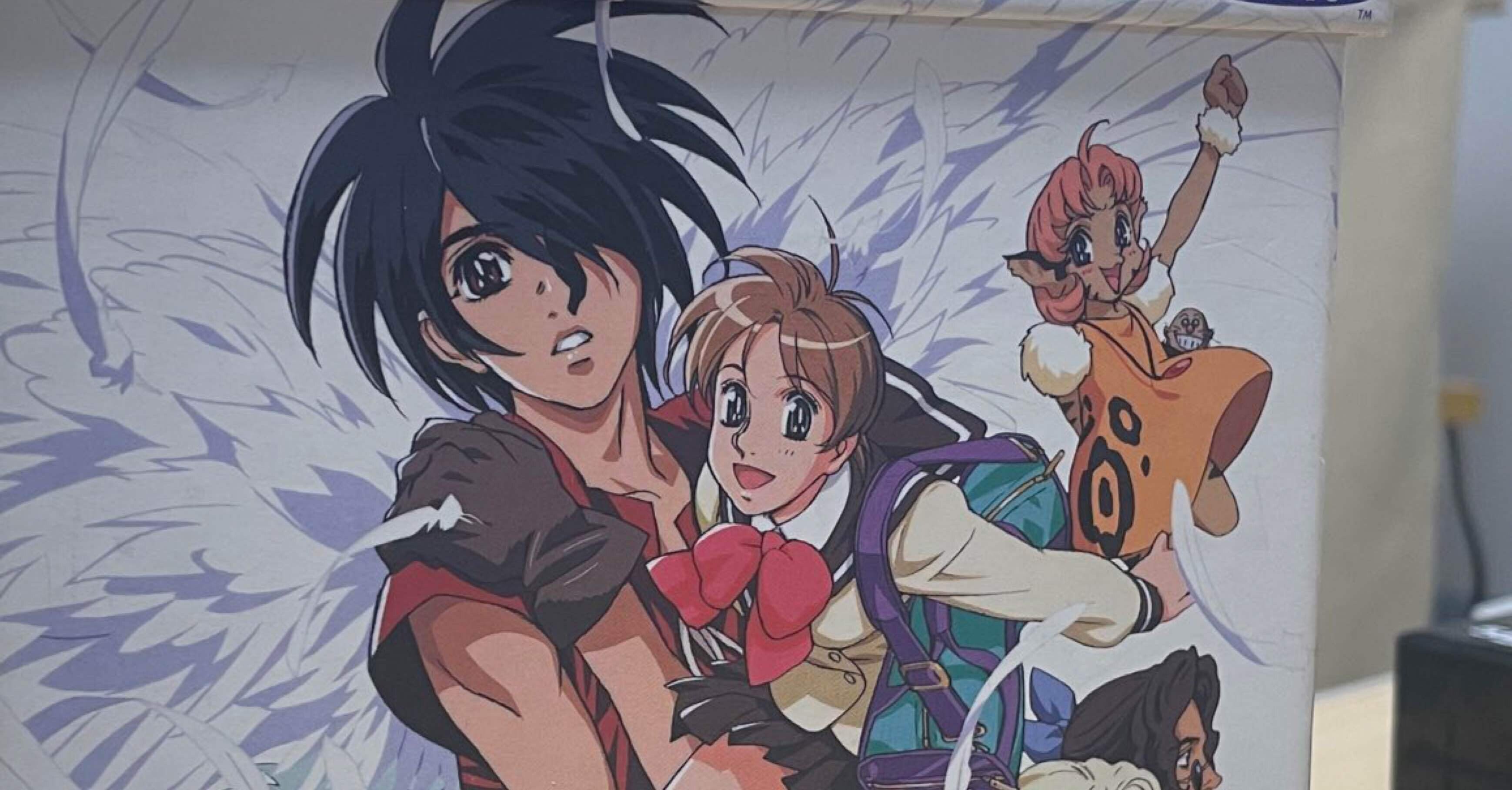 天空のエスカフローネ」って、ニュートン異世界転生物だったのか