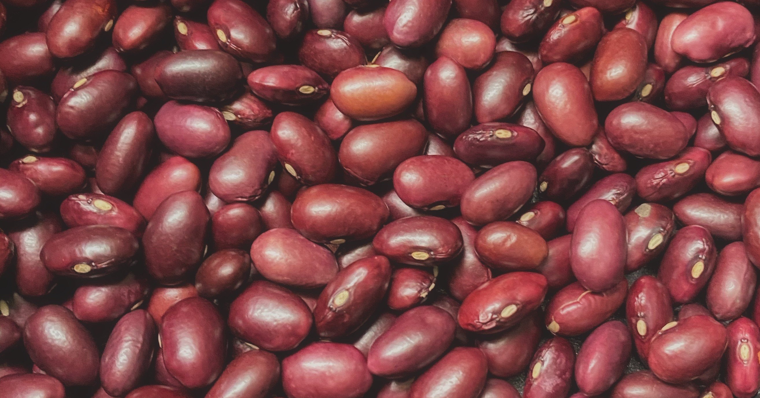 金時豆の甘煮 迷惑なほど丁寧なレシピ いしもとめぐみ Note