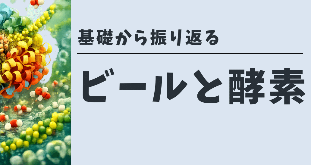 ビールと酵素 - 2026-01｜Shiro Yamada｜note